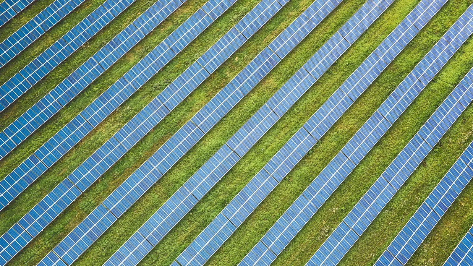 1600x900 Download wallpaper  solar panels, field, aerial view, texture, rows widescreen 16:9 HD background, Desktop