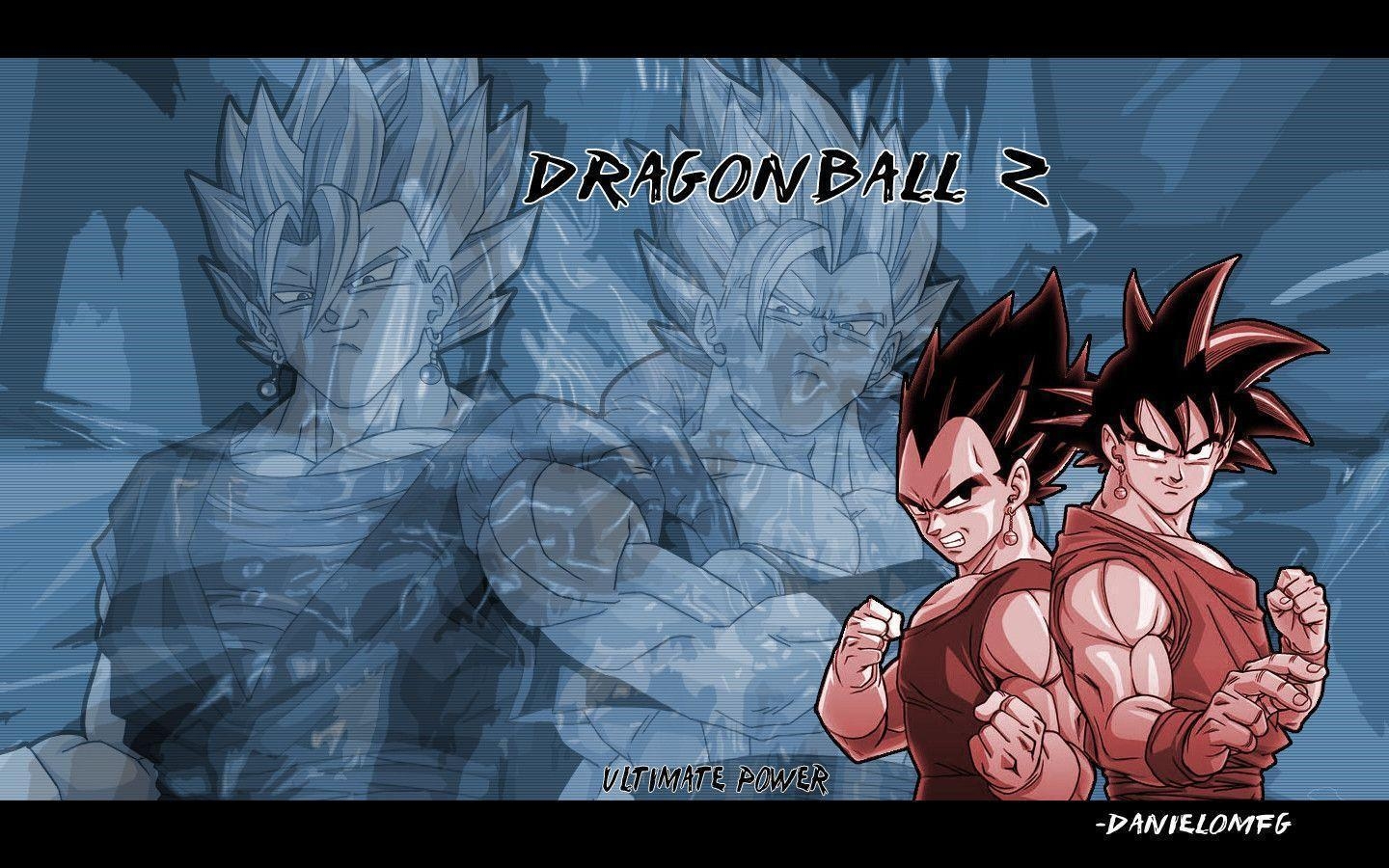 1440x900 DBZ Warriors Dragon ball Z Wallpaper of Goku, Vegeta, Desktop