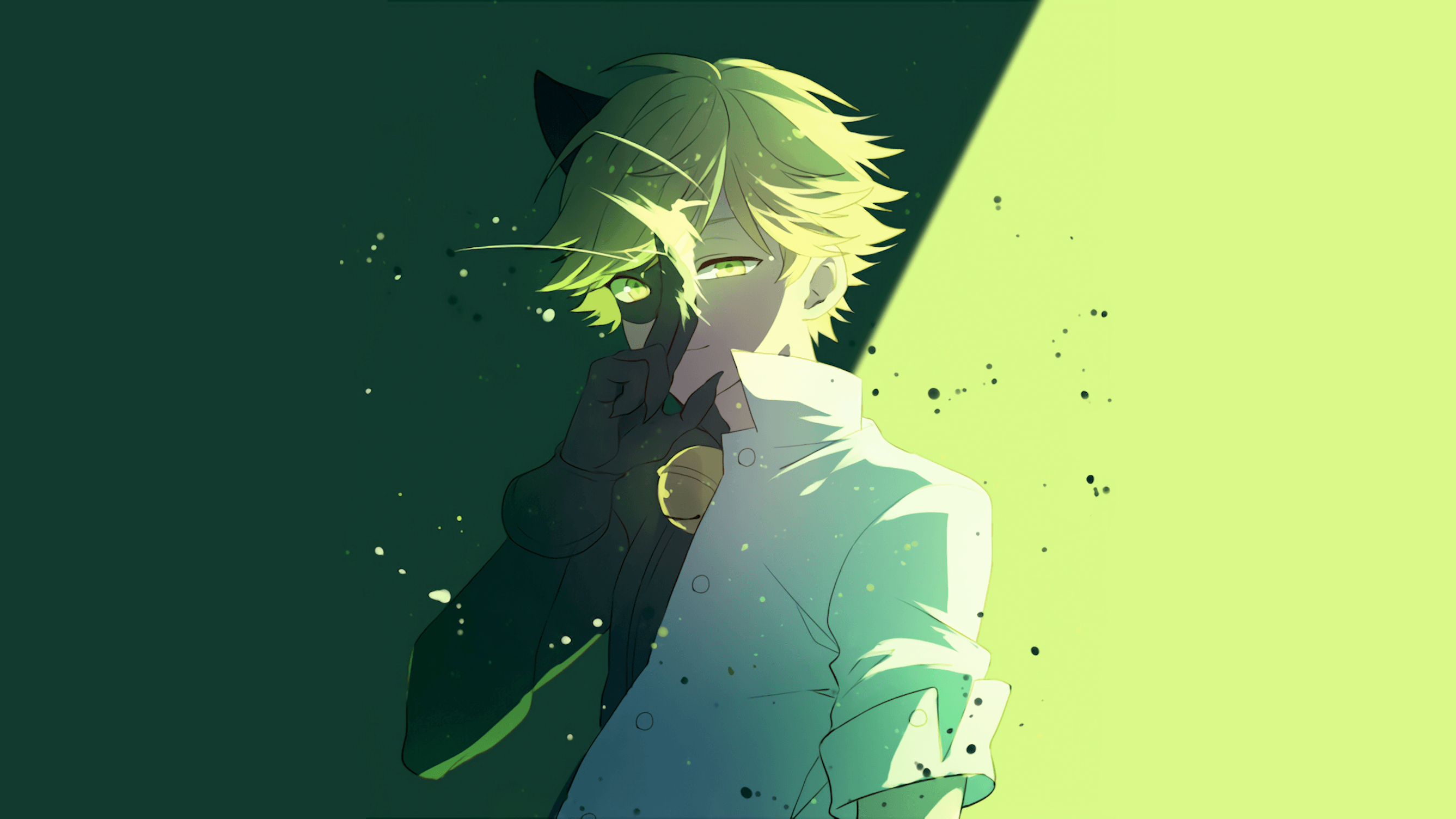 2680x1510 Chat Noir Computer Wallpaper, Desktop Backgroundx1123, Desktop