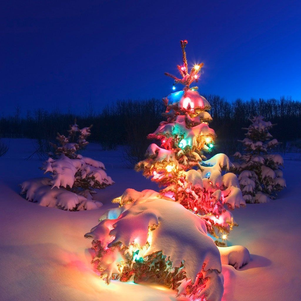 1030x1030 Live Christmas Wallpaper for iPad, Phone