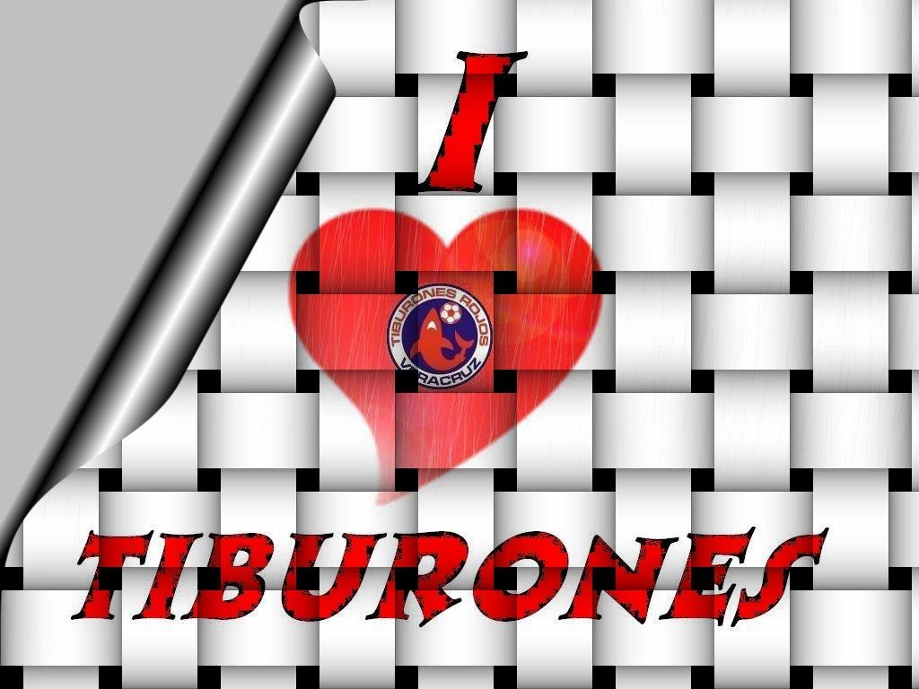 1030x770 Tiburones Rojos. Wallpaper gratis- Paisajes, Desktop