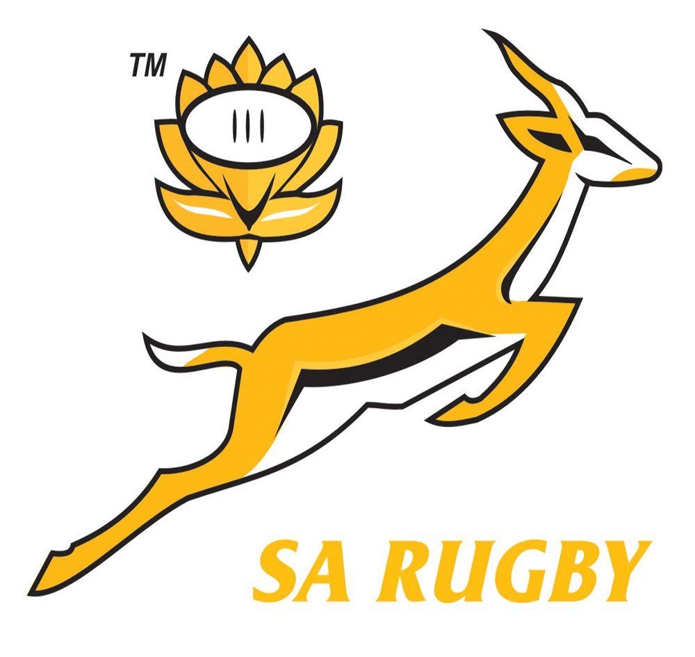 1000x950 Springboks Background, Desktop