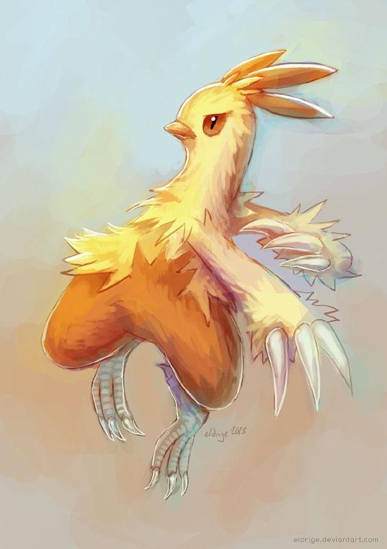 570x800 Combusken Second Sketch by eldrige. Second Sketch HD Wallpaper, Phone