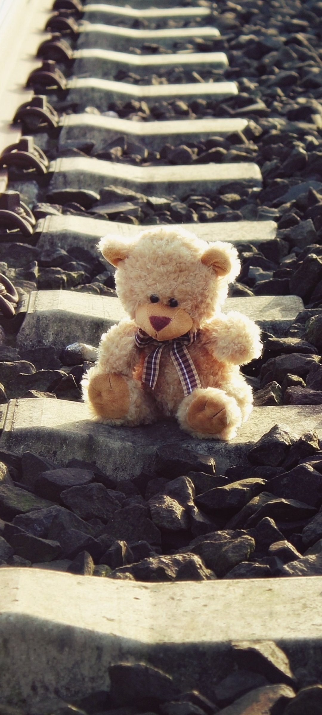 1080x2400 Teddy bear Wallpaper 4K, Brown aesthetic, Railway track, Phone