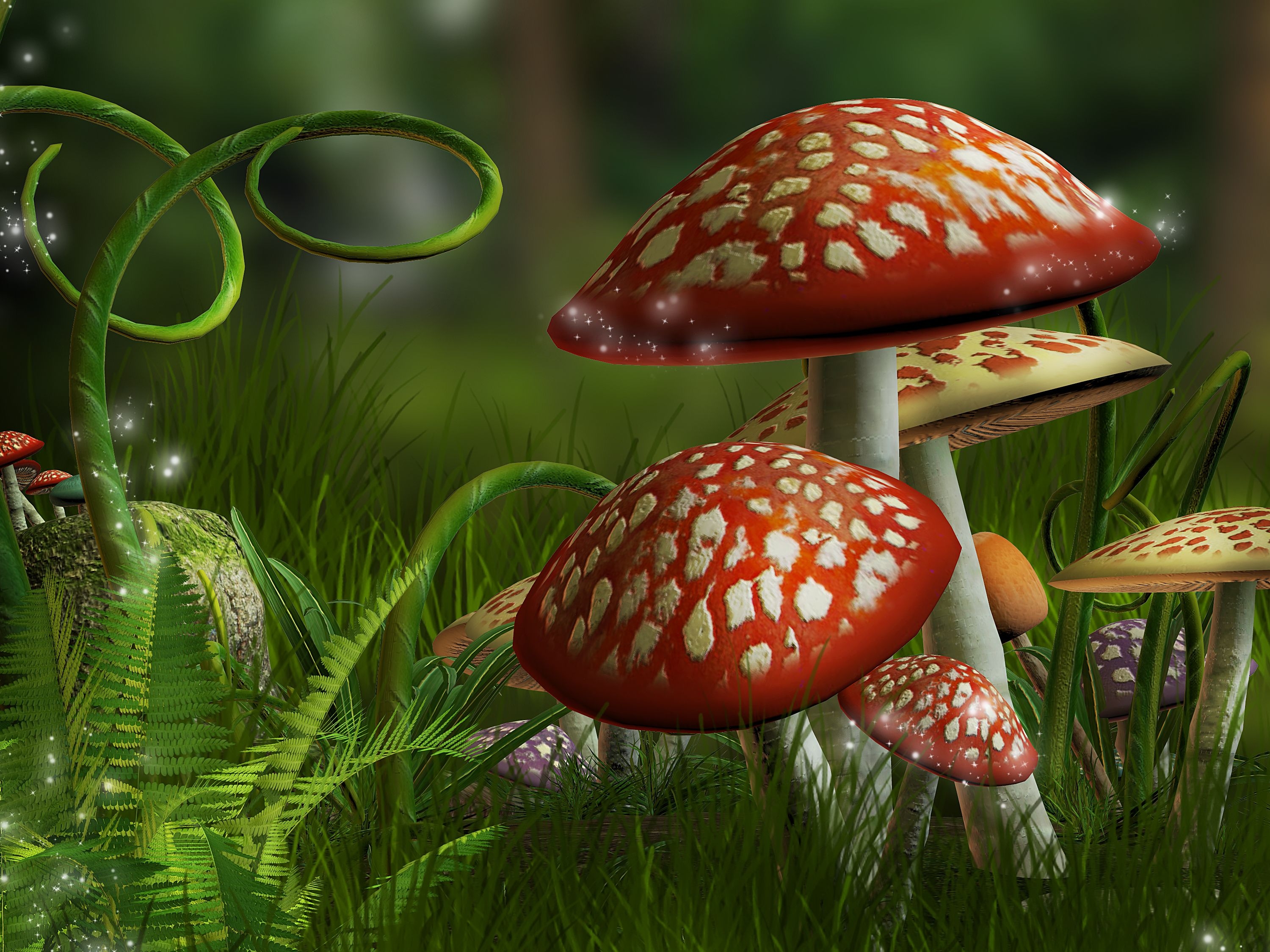 3000x2250 Mushrooms Wallpaper Wallpaper Superior Mushrooms Wallpaper Background, Desktop