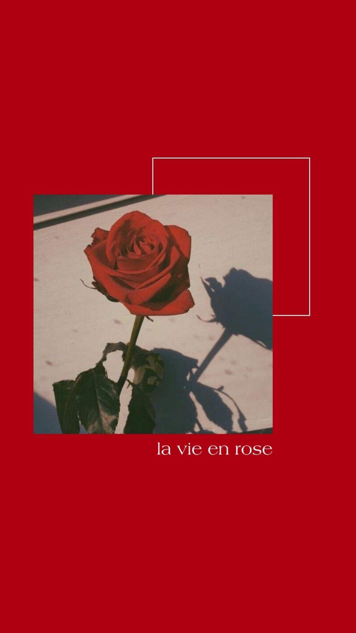 1200x2130 Red aesthetic wallpaper#aesthetic #red #wallpaper. Red roses wallpaper, Red aesthetic grunge, Aesthetic roses, Phone