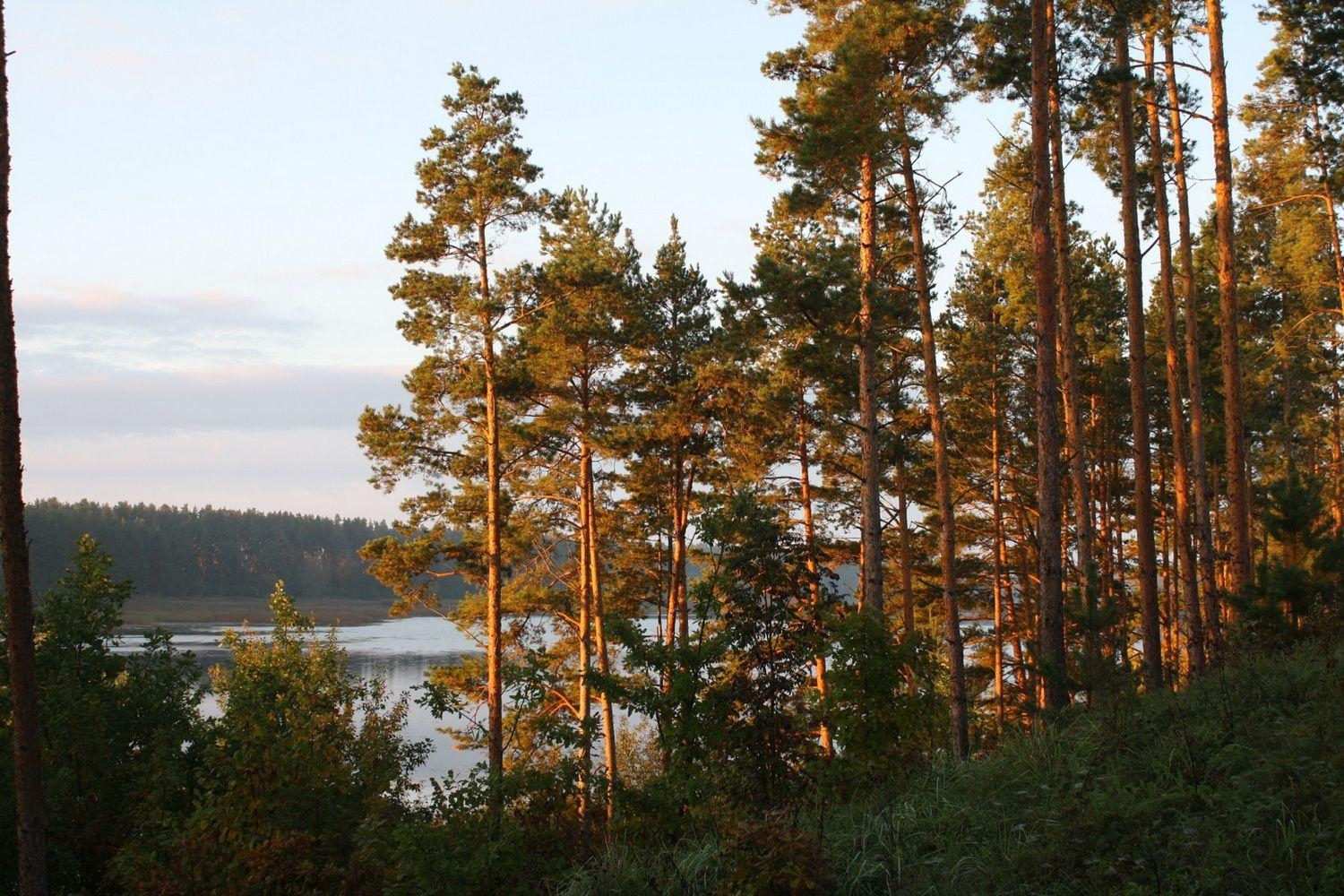 1500x1000 Lithuania Nature Lake, Desktop