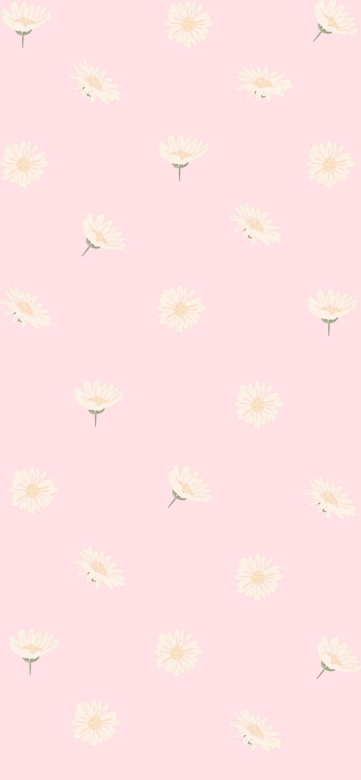 1170x2530 Pink Aesthetic Picture, Daisy on Pink Wallpaper, Phone