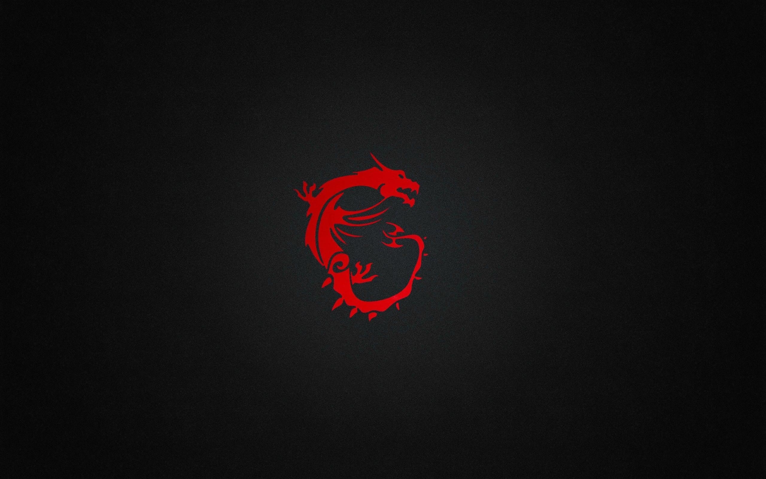 2560x1600 Minimalistic MSI Wallpaper: wallpaper, Desktop