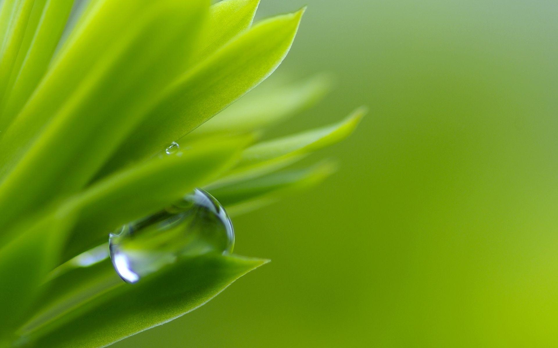 1920x1200 Water Drop Wallpaper. Water Drop Background, Desktop