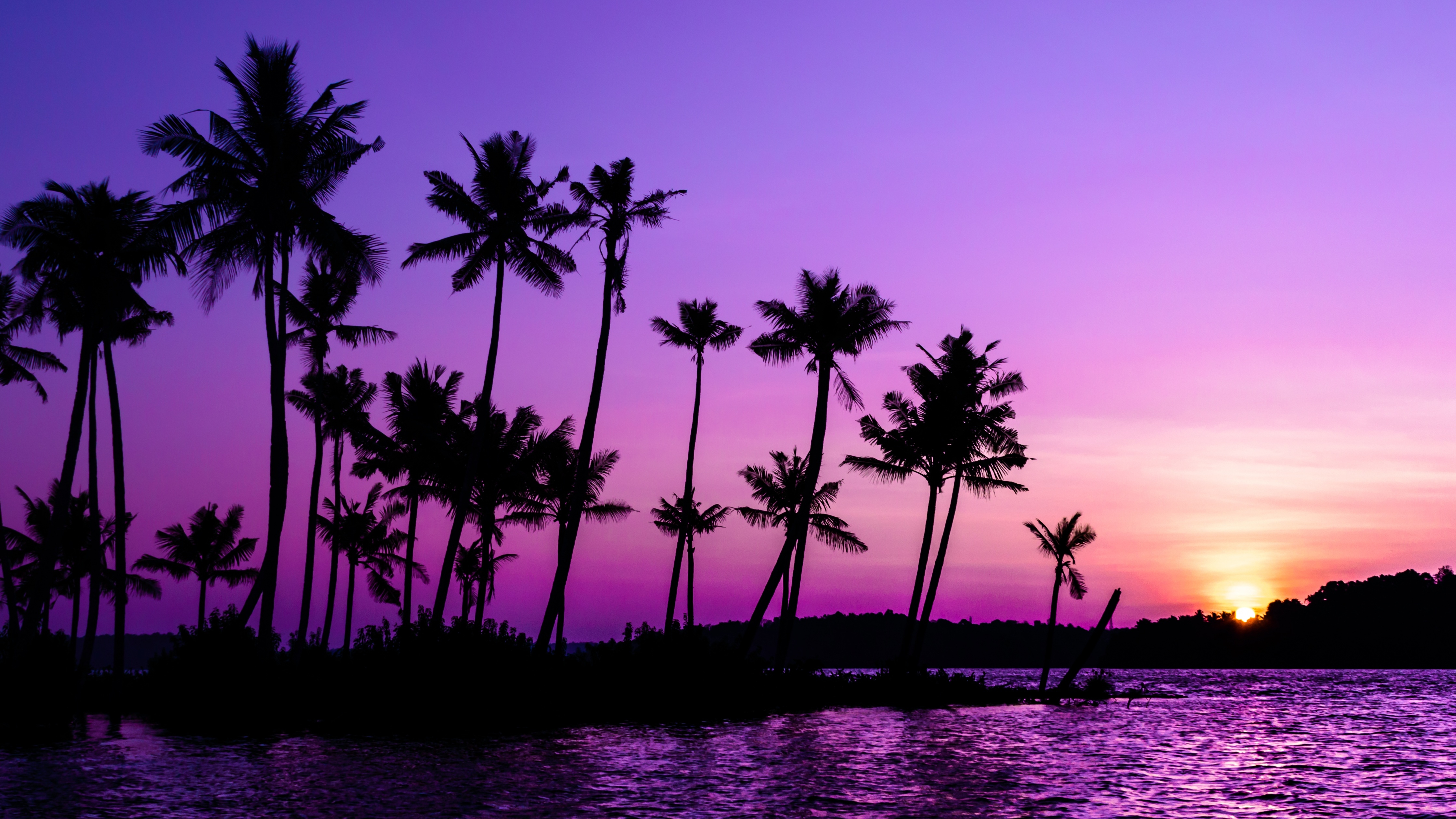 4480x2520 Purple Sunrise Wallpaper 4K, Clear sky, Palm trees, Scenery, Desktop