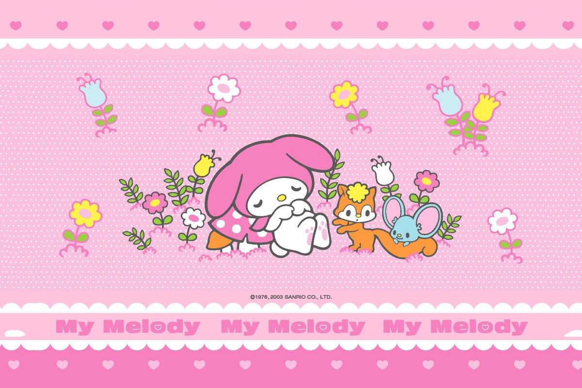 1200x800 My Melody Background Free HD Wallpaper, Desktop