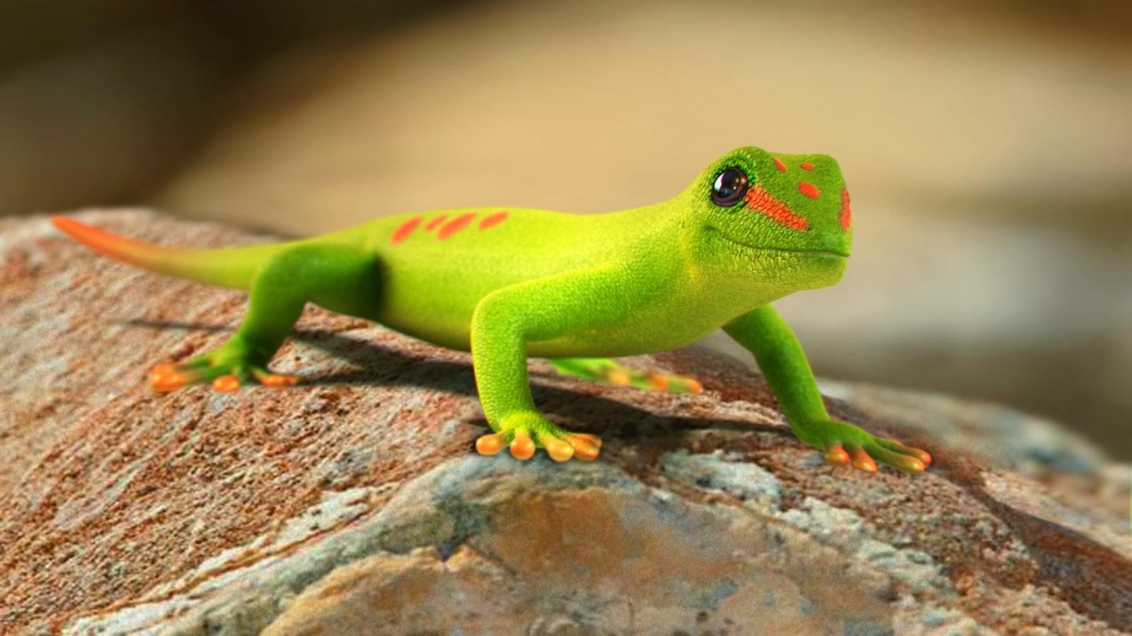 1600x900 Gecko Wallpaper Deskx900, Desktop