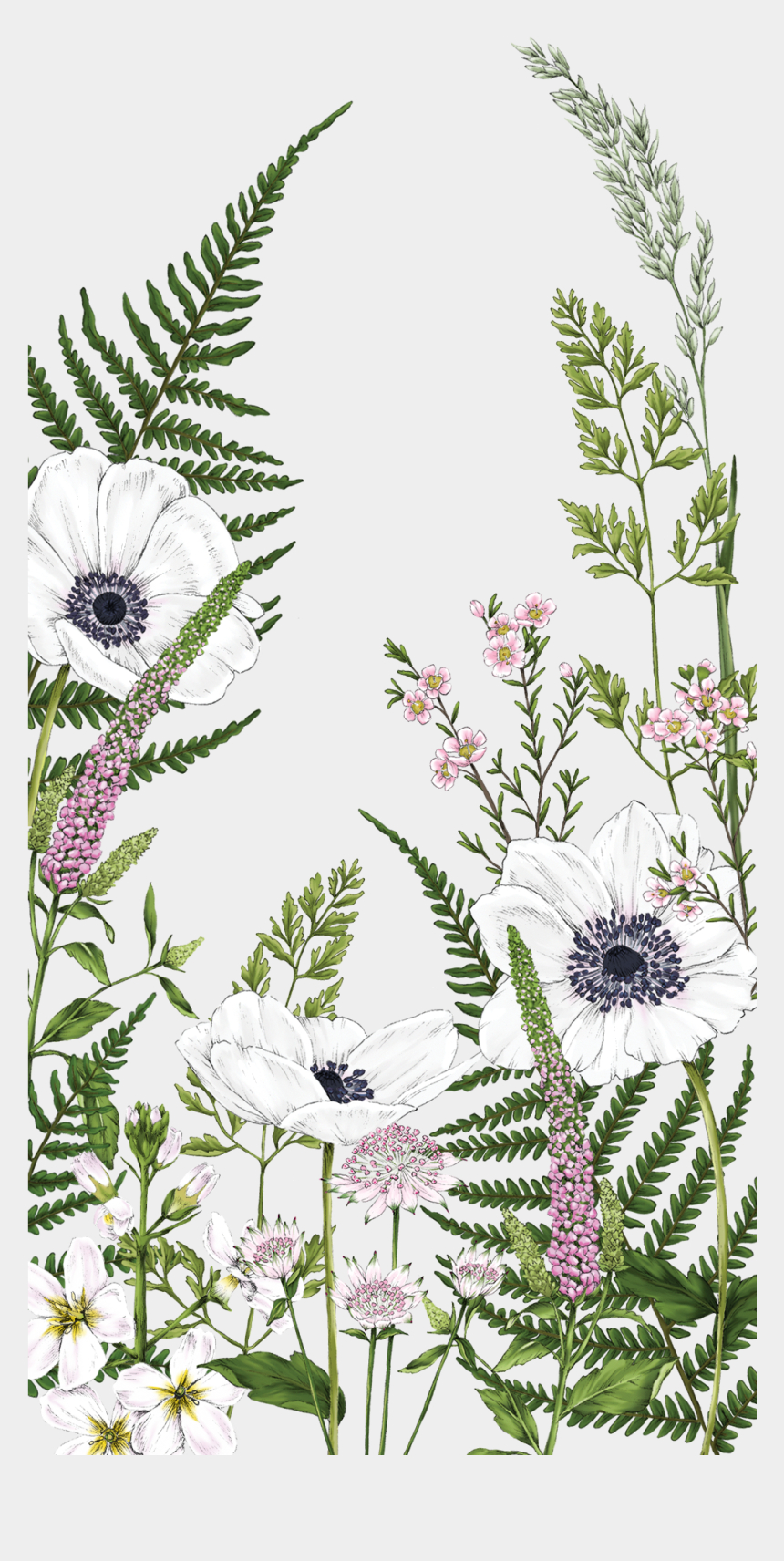 860x1720 Flower Drawing Phone Wallpaper, Phone