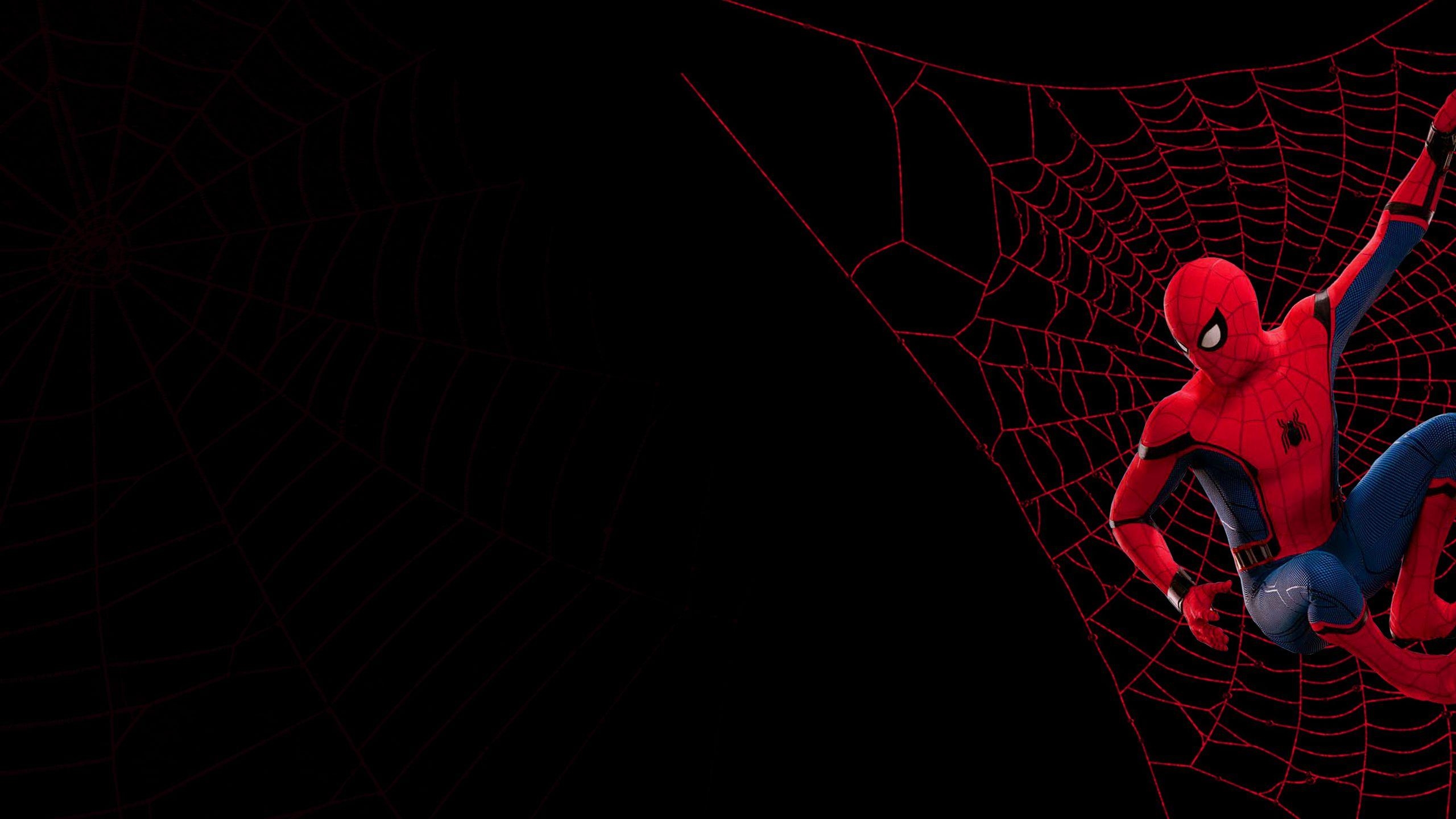 2560x1440 Spider Man Homecoming Wallpaper, Desktop