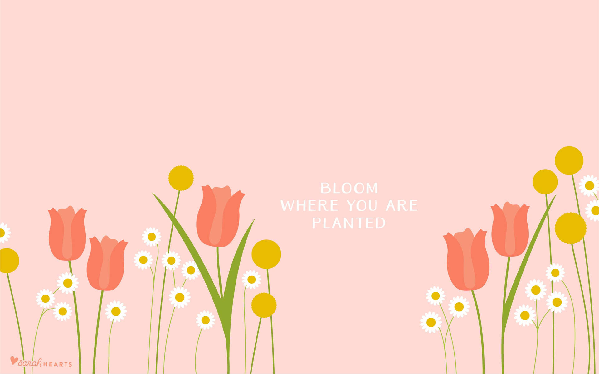 1920x1200 Download Aesthetic Quotes Tulip And Flowers Wallpaper, Desktop