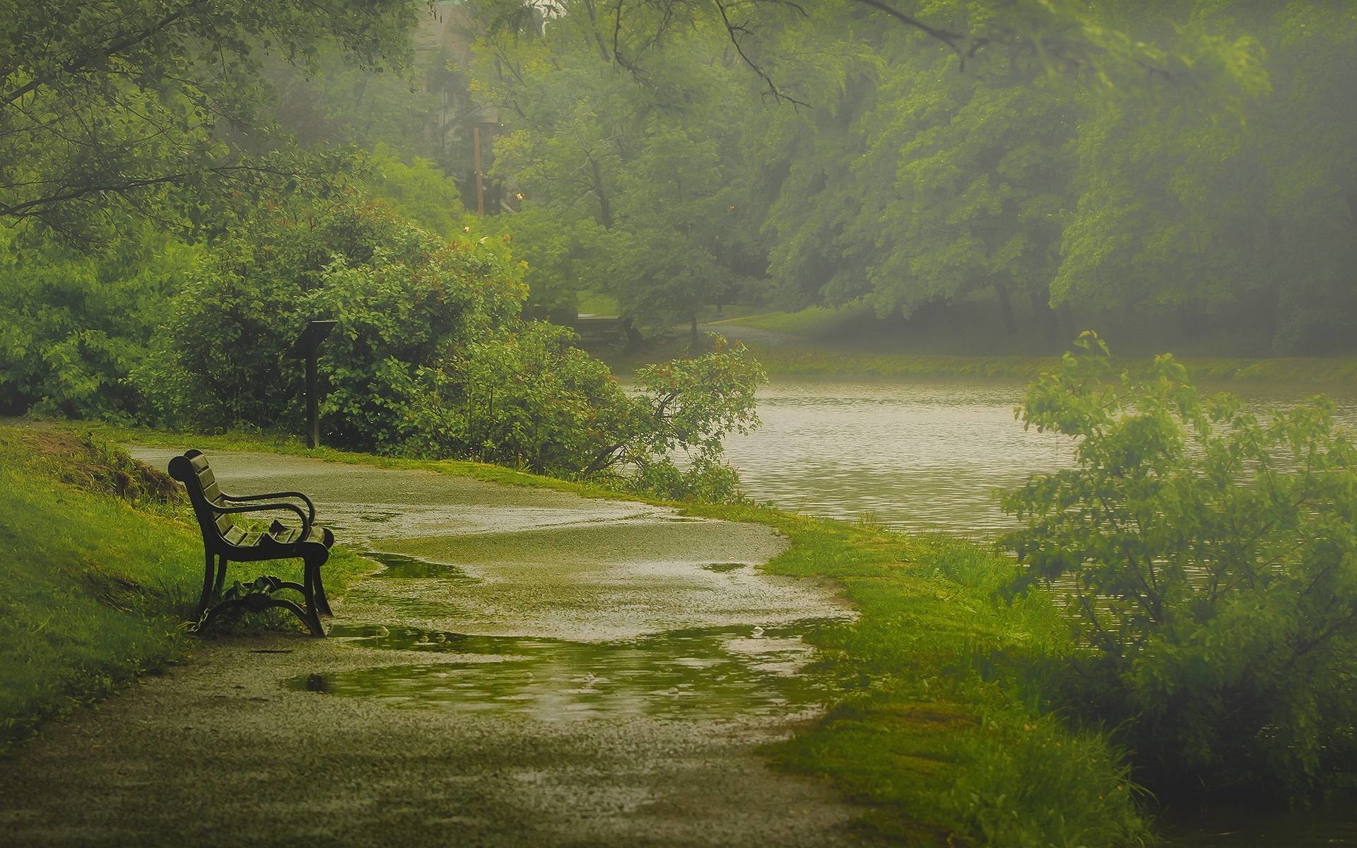 1920x1200 Nature Rain Wallpaper, Desktop