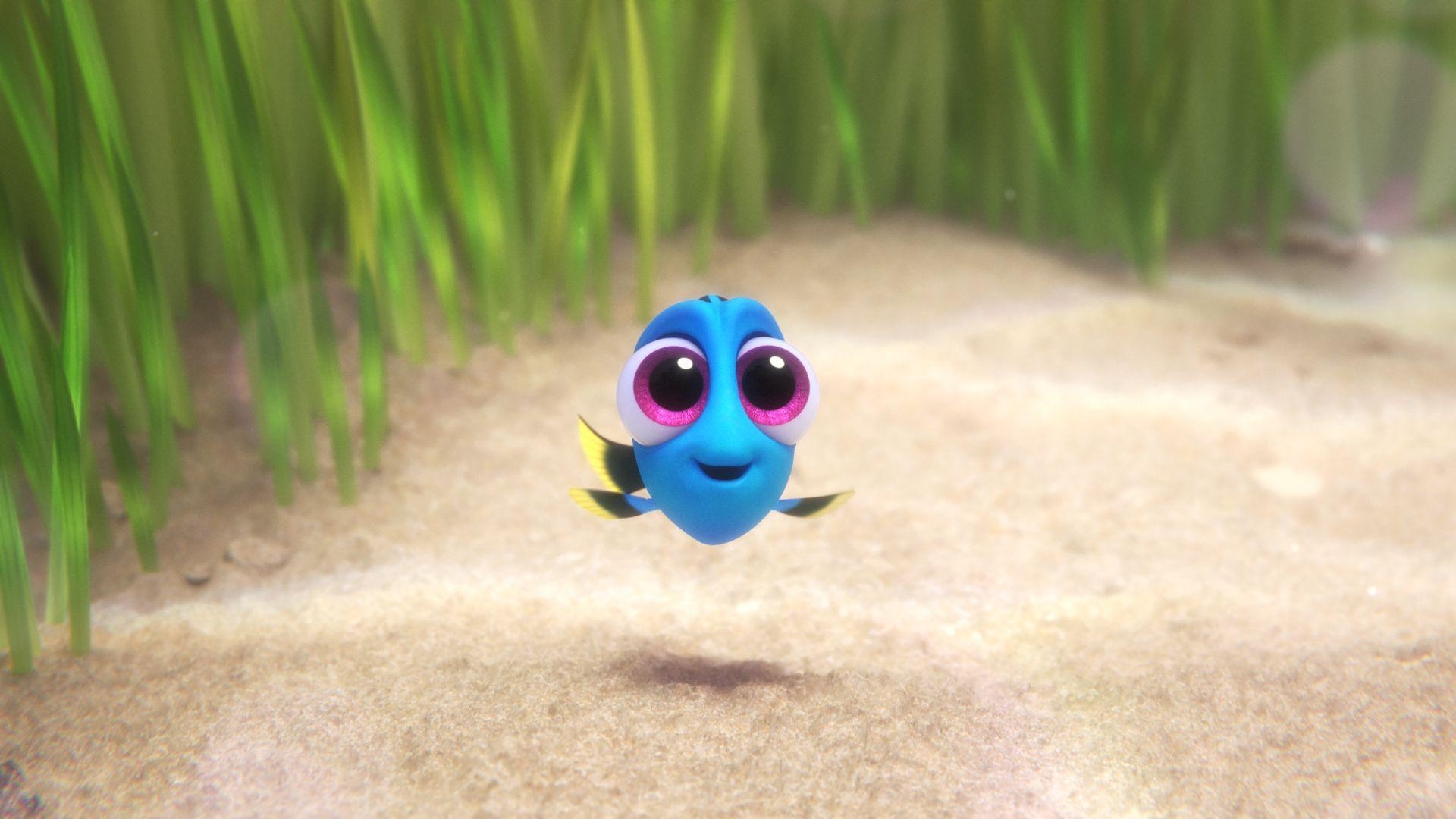 1920x1080 Finding Dory Computer Wallpaper, Desktop Backgroundx1080, Desktop