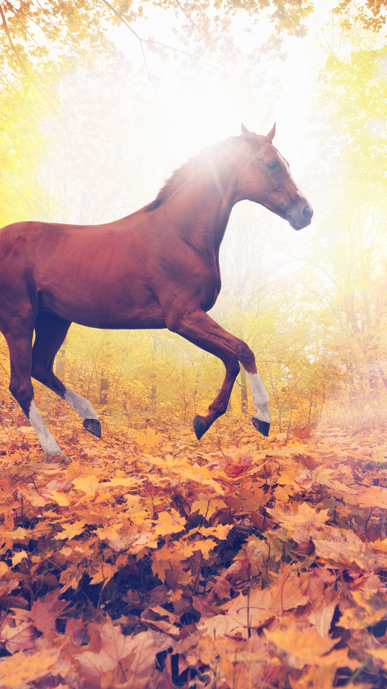 1250x2210 Running horse Wallpaper Download, Phone