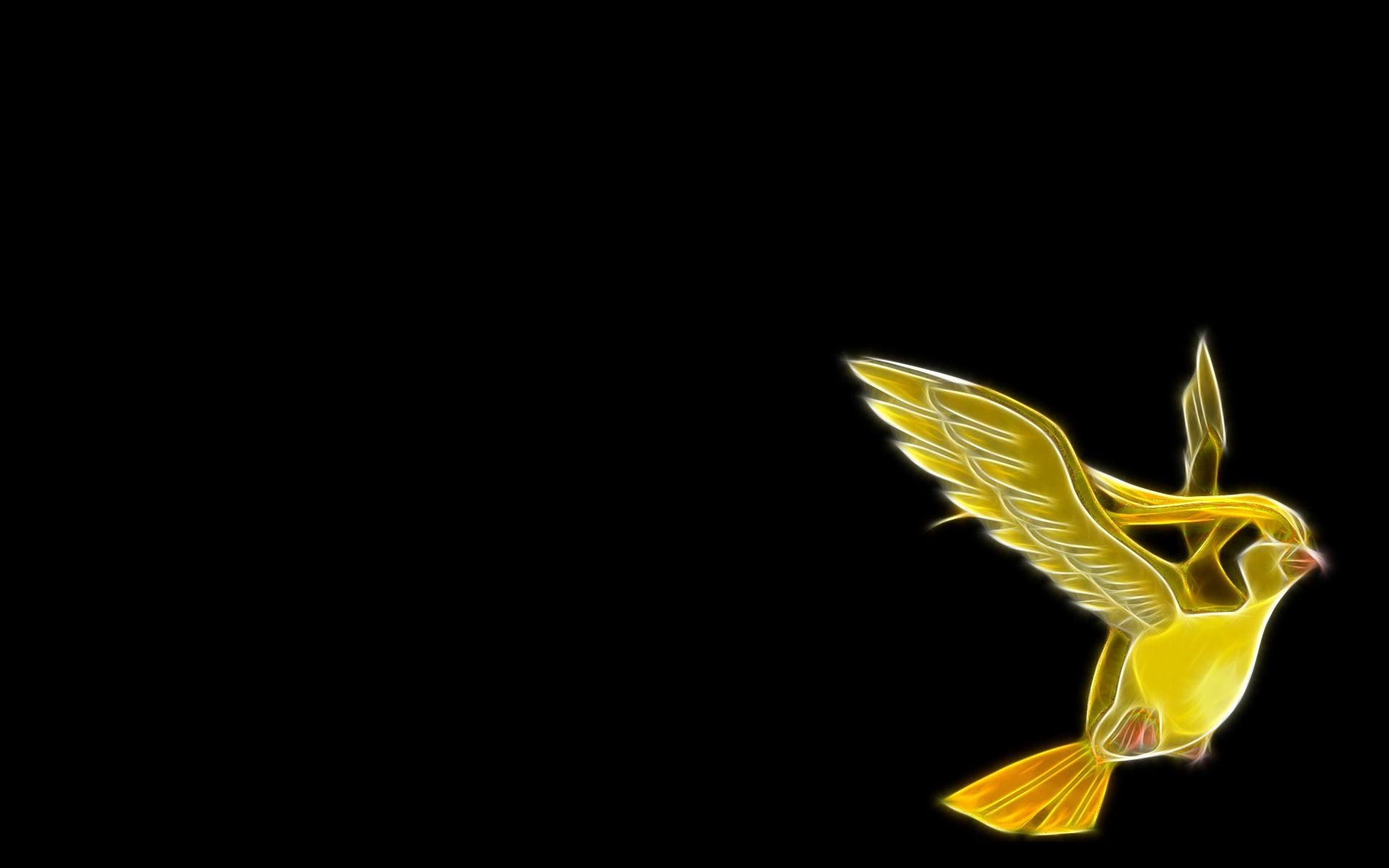 1920x1200 pokemon pidgeot black background  wallpaper High Quality, Desktop