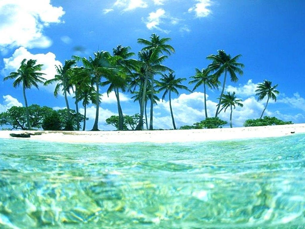 1030x770 Tropical Beach HD Wallpaper. HD Wallpaper. Tropical, Desktop