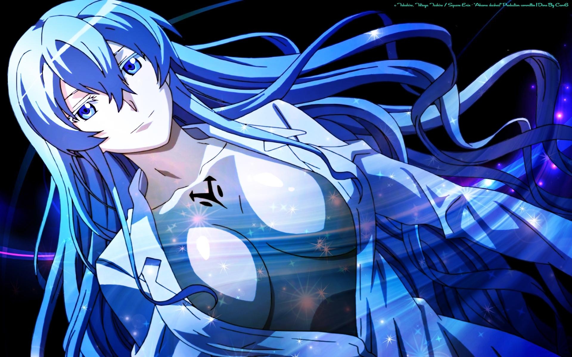 1920x1200 Esdeath Ga Kill Wallpaper Done By Me Rendered by MG Anime Renders, Desktop