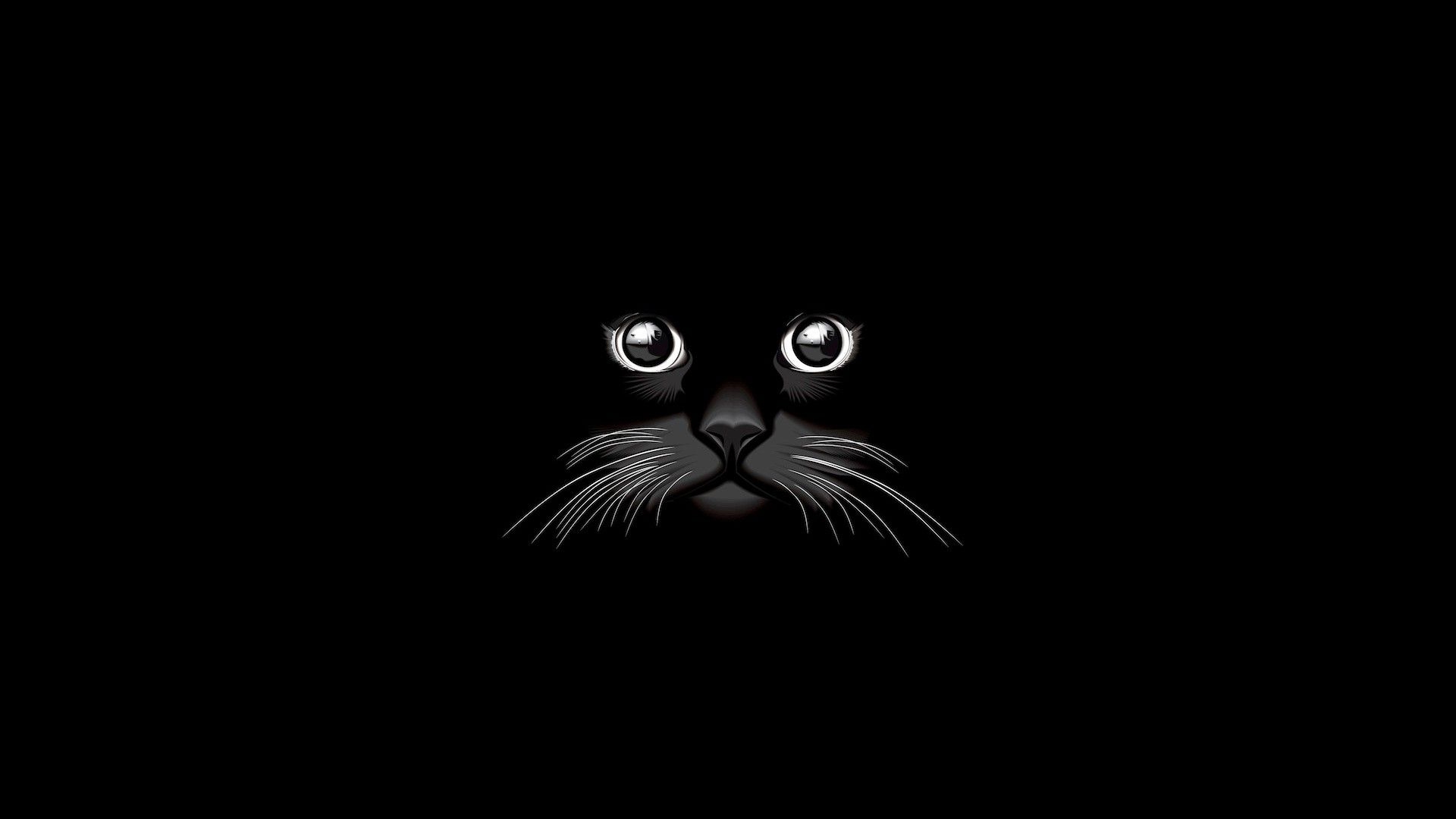 1920x1080 Cat Vector, HD Animals, 4k Wallpaper, Image, Background, Photo, Desktop