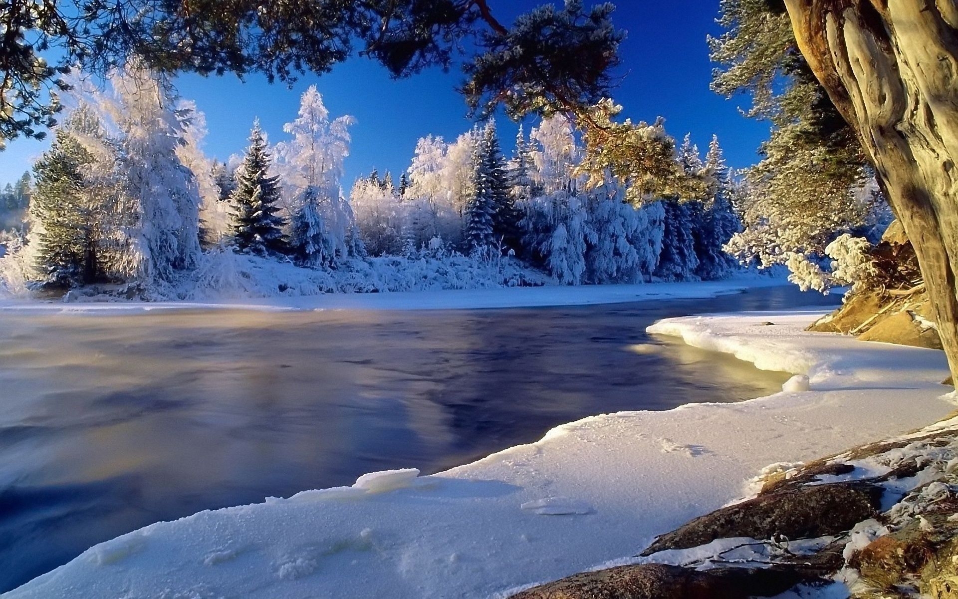 1920x1200 Free download Winter Landscape Desktop Background HD4Wallpapernet [] for your Desktop, Mobile & Tablet. Explore Outdoor Wallpaper Desktop. Free Desktop Background Wallpaper Outside, Outdoor Wallpaper for My Desktop, Outdoor, Desktop