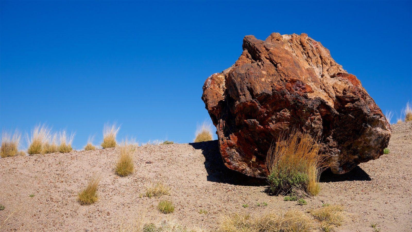 1600x900 Petrified Forest National Park Picture: View Photo & Image, Desktop