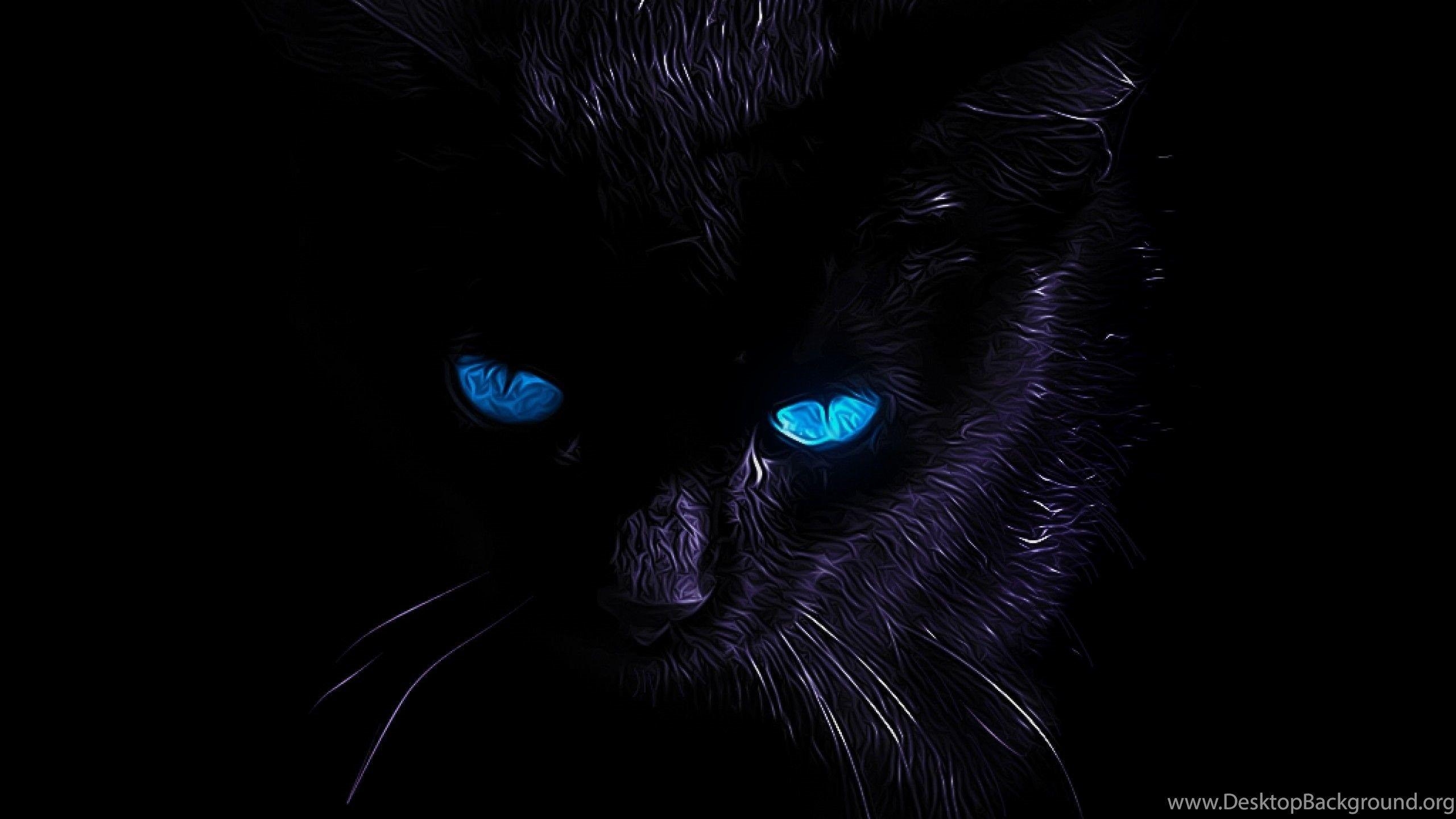 2560x1440 Black Cat Wallpaper Free Black Cat Background, Desktop