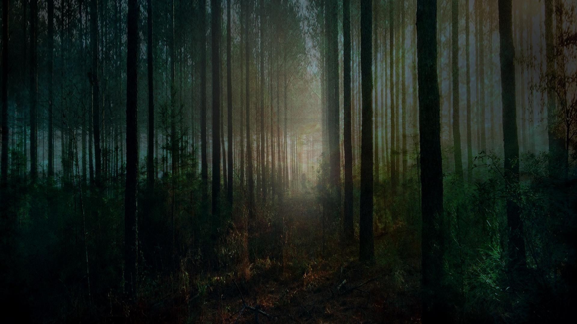 1920x1080 Spooky Forest Halloween wallpaper[]. Forest wallpaper, Desktop