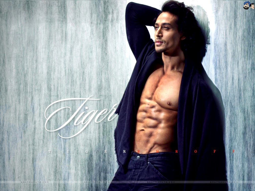 1030x770 Tiger Shroff Image, HD Wallpaper, and Photo, Desktop