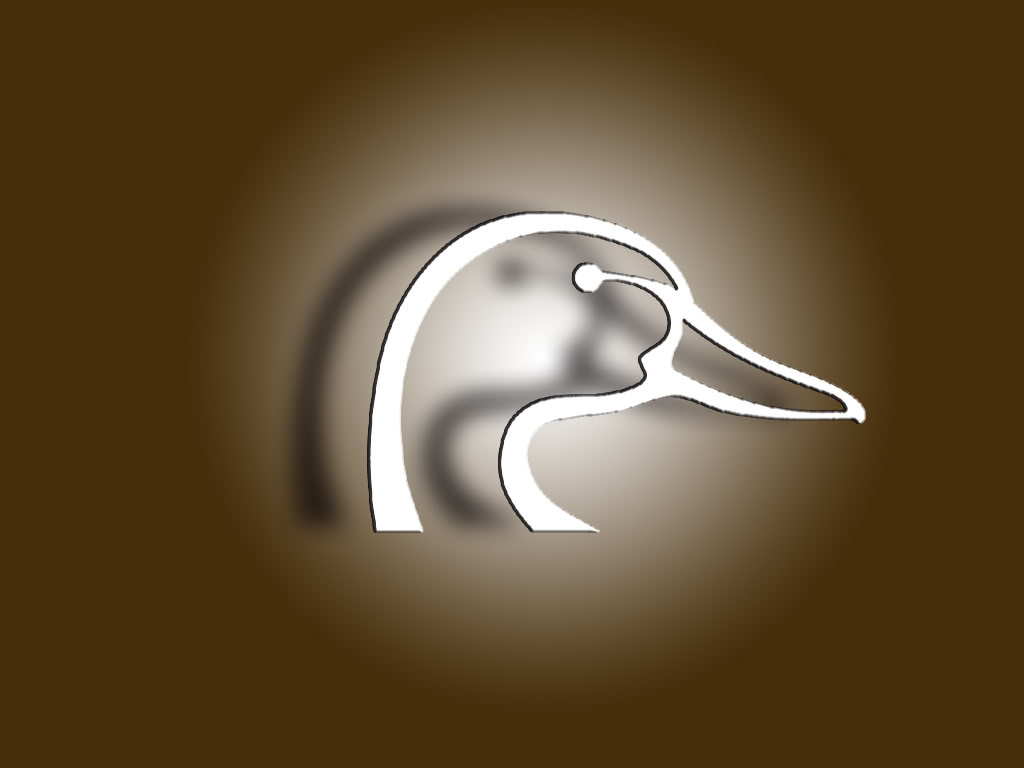 1030x770 Ducks Unlimited Wallpaper, Desktop