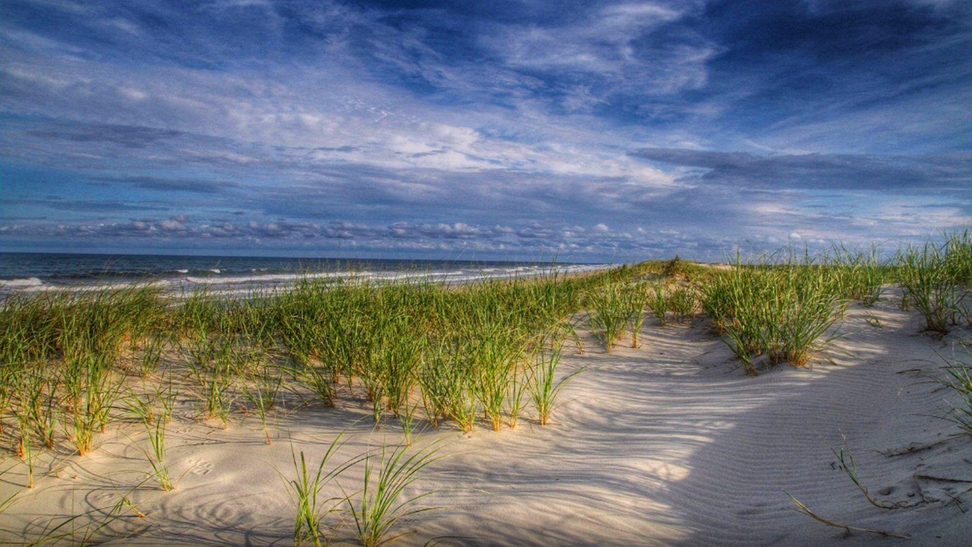 1920x1080 Island Beach State Park, New Jersey Summer Beach Grass Green Sea, Desktop