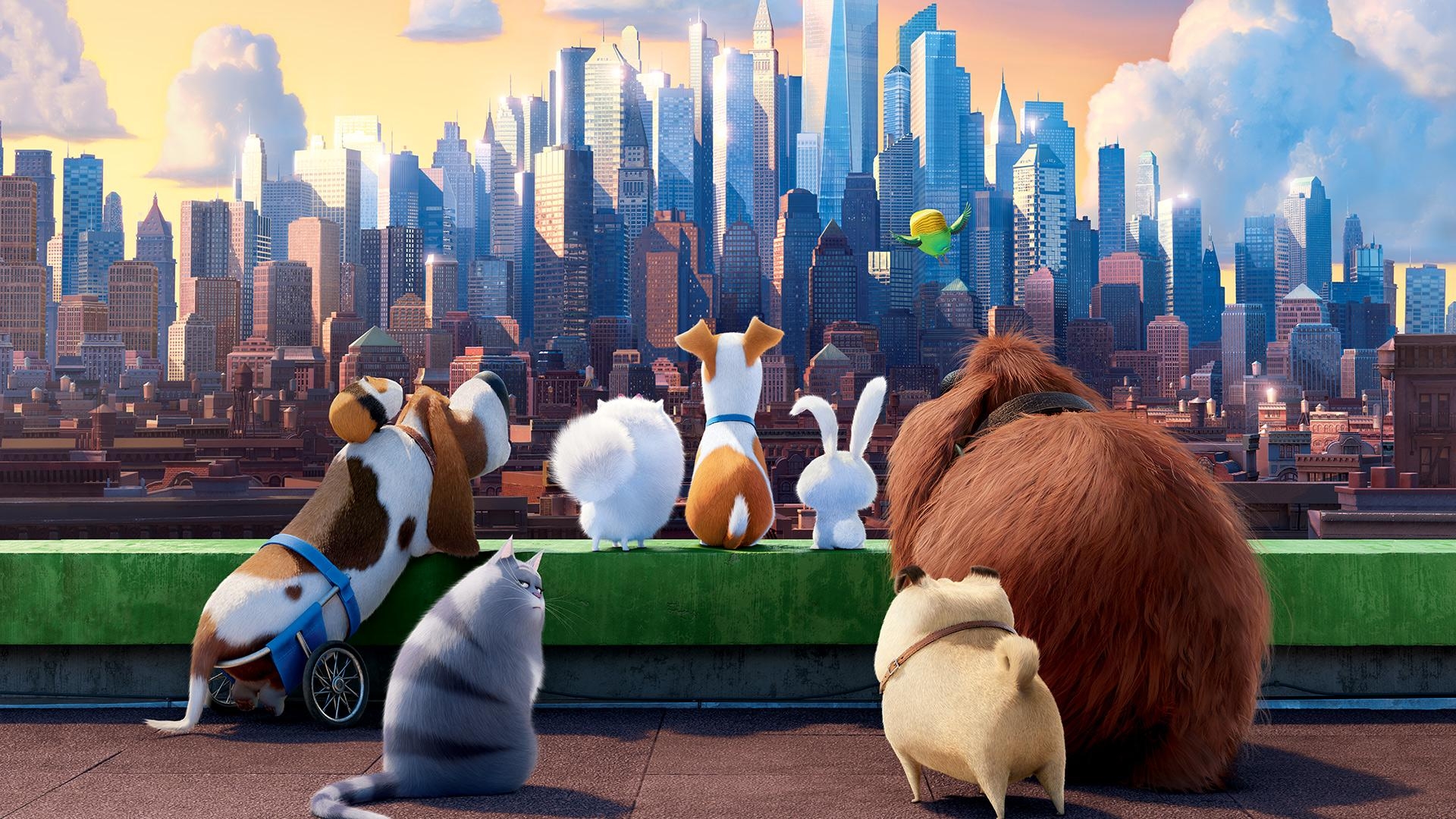 1920x1080 The Secret Life of Pets (2016), National Portrait Gallery, Desktop