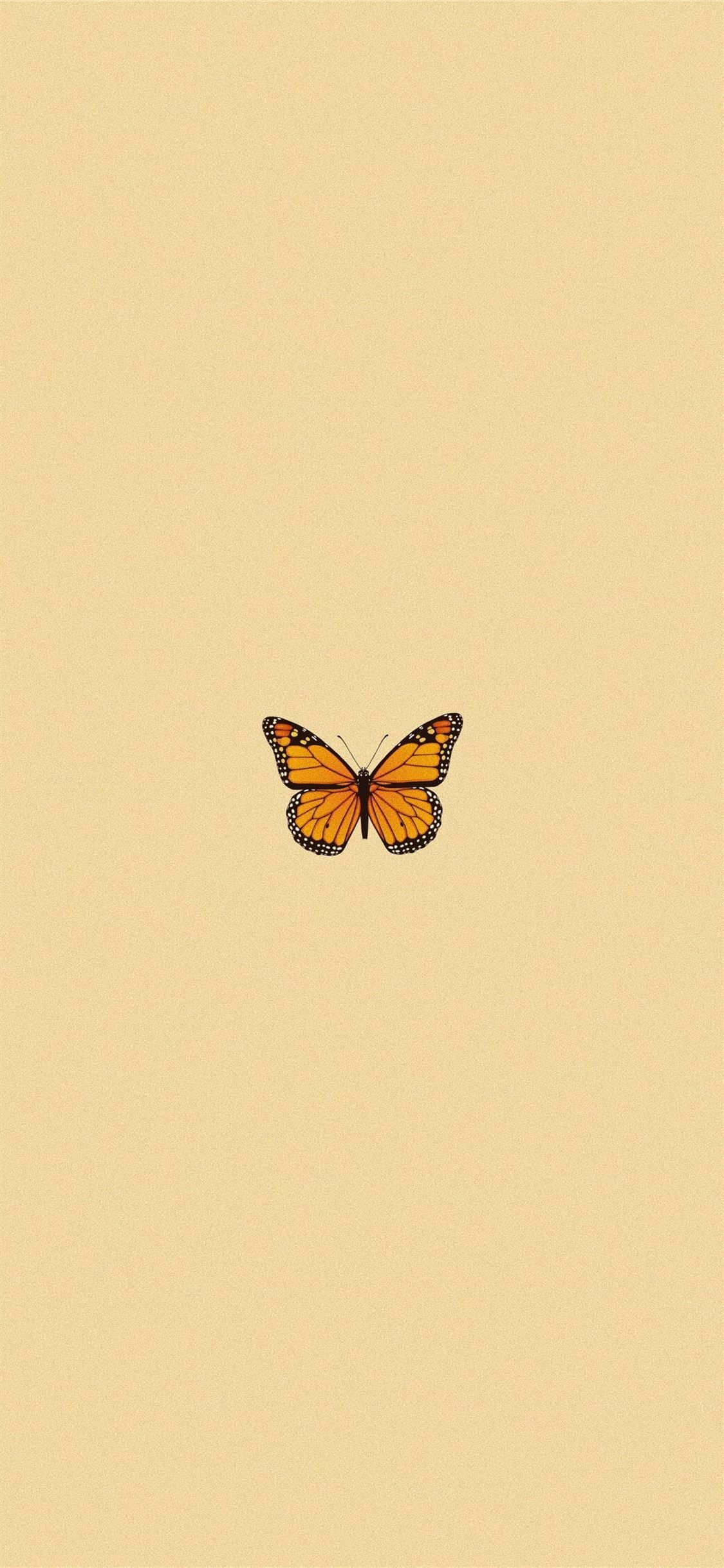 1130x2440 ig kaylaknguyen aestheticiphone #butterfly #trends #iPhone11Wallpaper. Butterfly wallpaper iphone, iPhone wallpaper vintage, Apple watch wallpaper, Phone