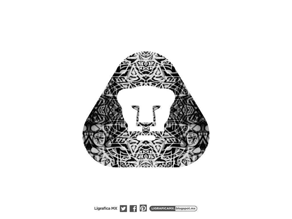 1030x770 Pumas Wallpaper. (66++ Wallpaper), Desktop