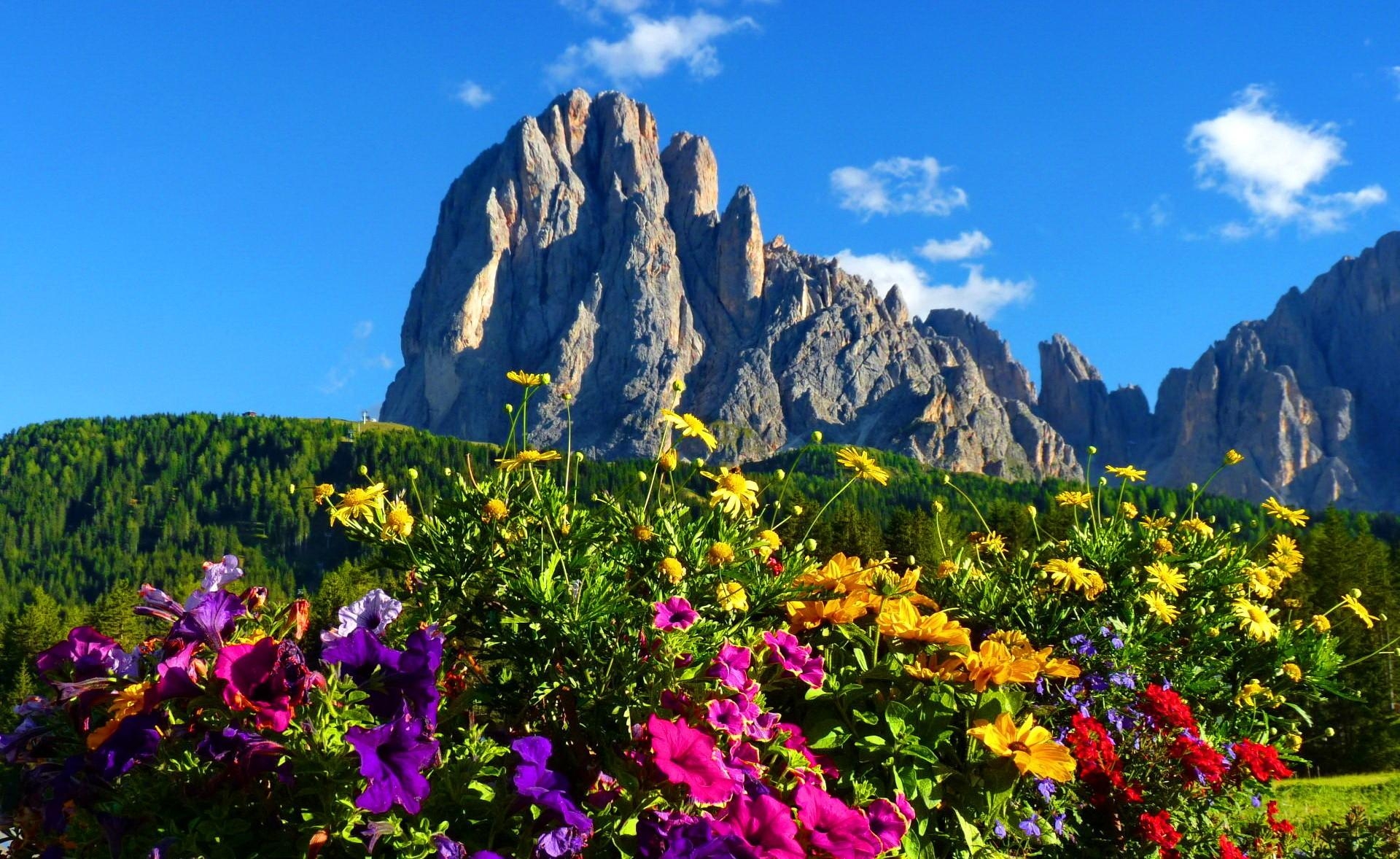 1920x1180 Mountains: Dolomites Italy Colorful Grass Mountain Rocks Flowers, Desktop