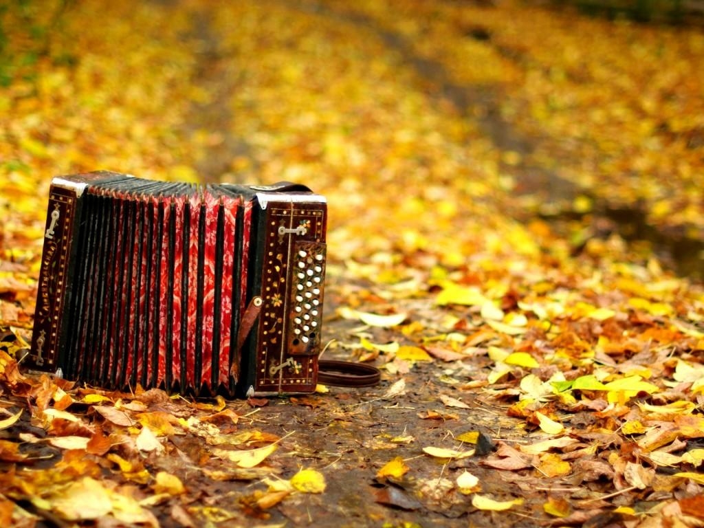 1030x770 Accordion HD Wallpaper 13395, Desktop