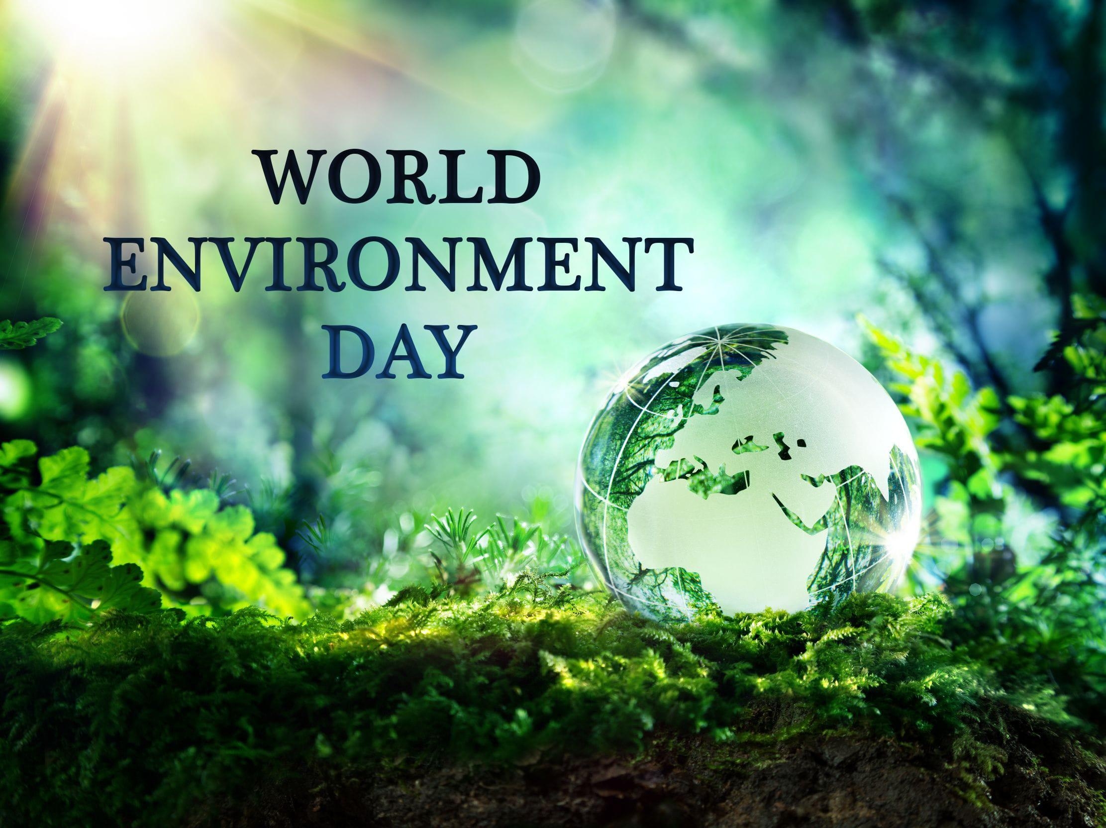 2230x1670 World Environment Day Hand Nature HD Image, Desktop