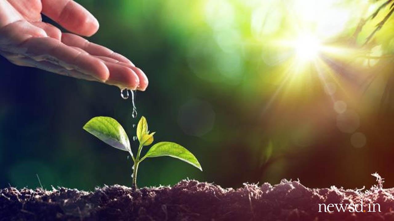 1280x720 World Environment Day 2019: Wishes, SMS, image, wallpaper, Desktop