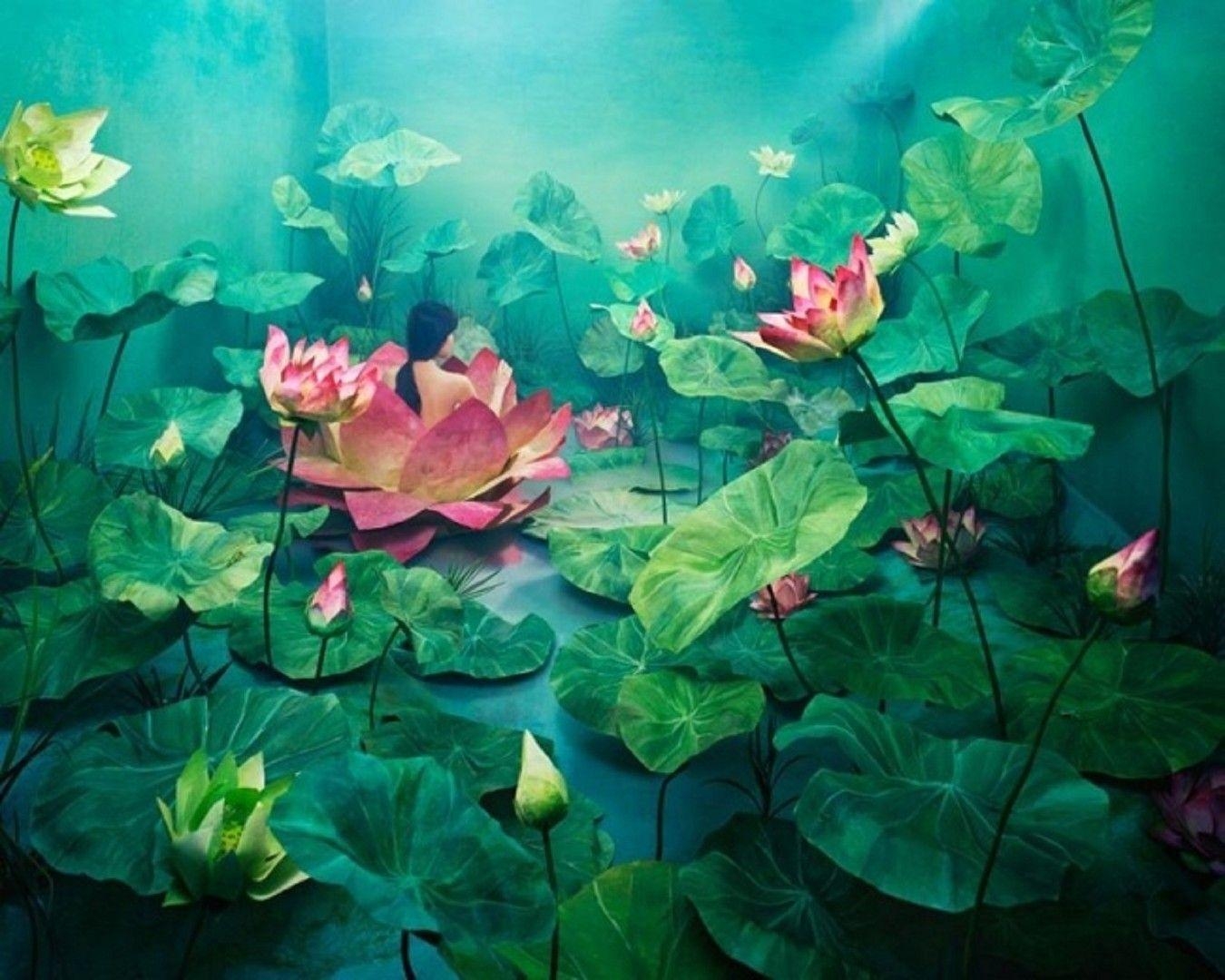 1350x1080 Flowers: Art Leaves Flowers Lotus Flower Wallpaper For Desktop, Desktop