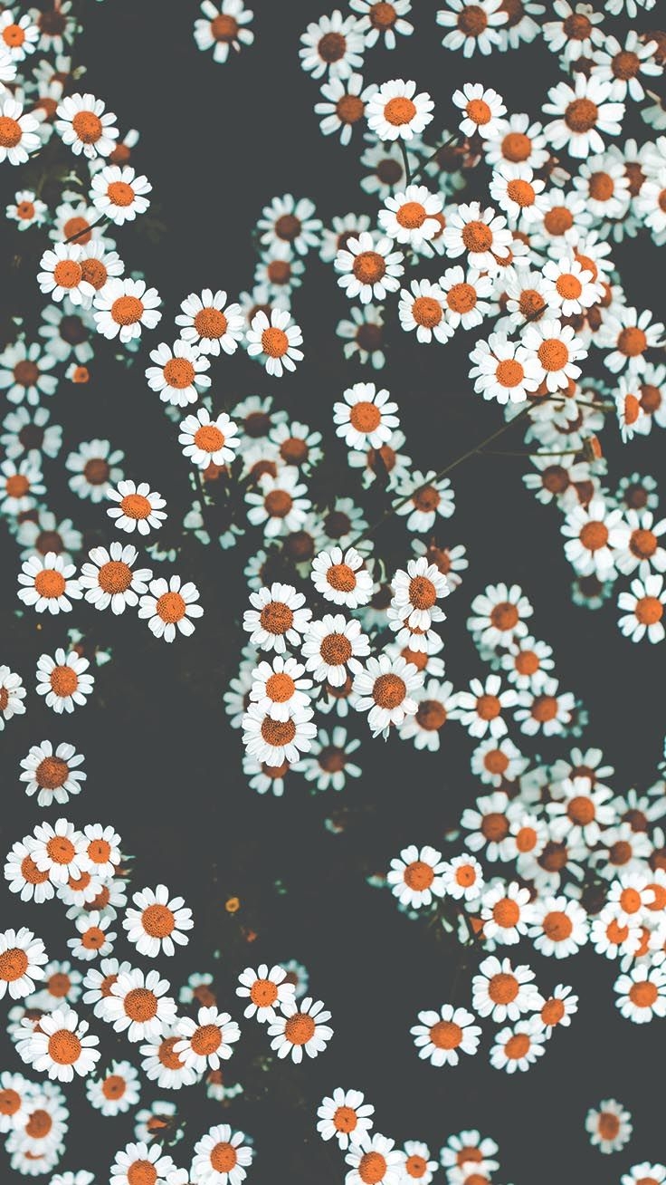 740x1310 Floral iPhone Xs Wallpaper To Celebrate Spring. Preppy Wallpaper. Retro wallpaper iphone, Preppy wallpaper, Daisy wallpaper, Phone