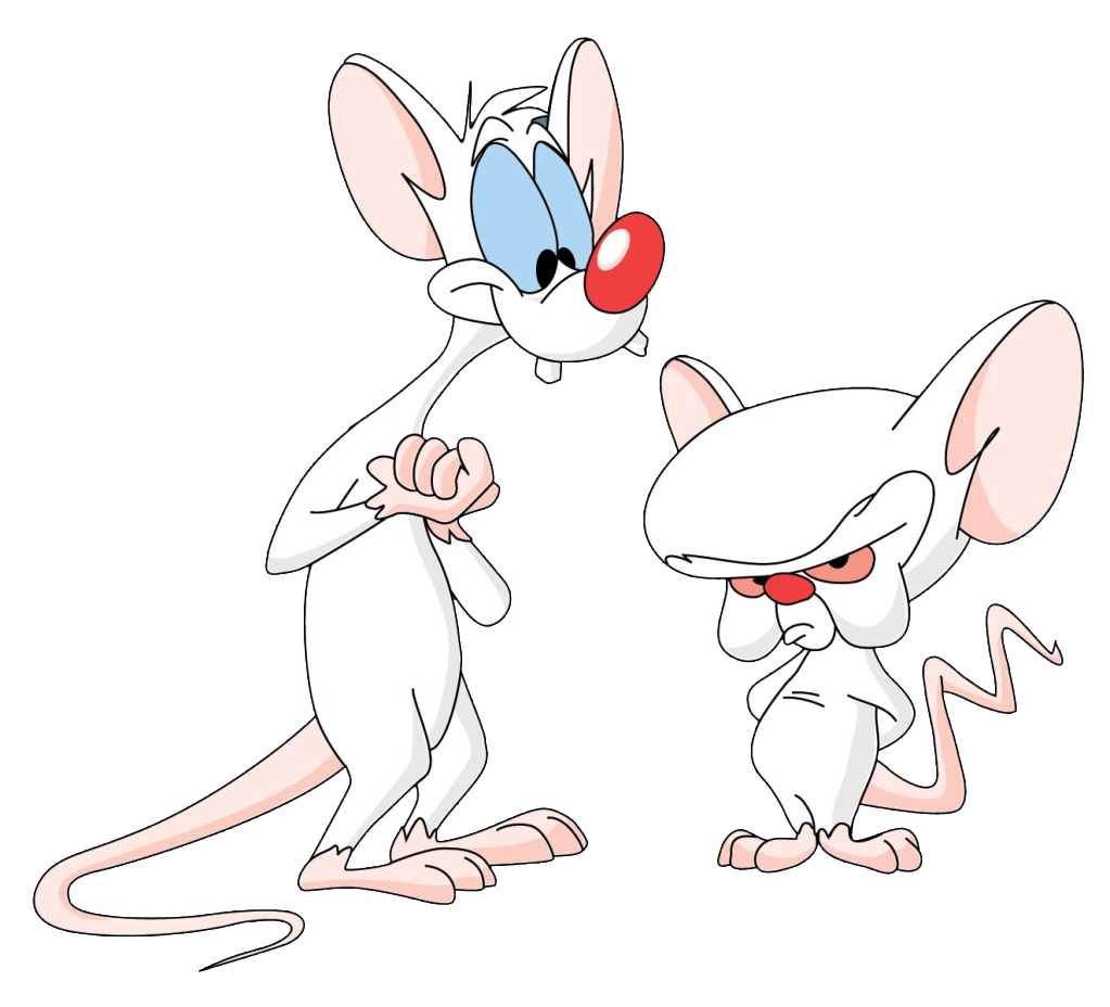 1030x930 Pinky And The Brain. pinky and the brain intro youtube, Desktop