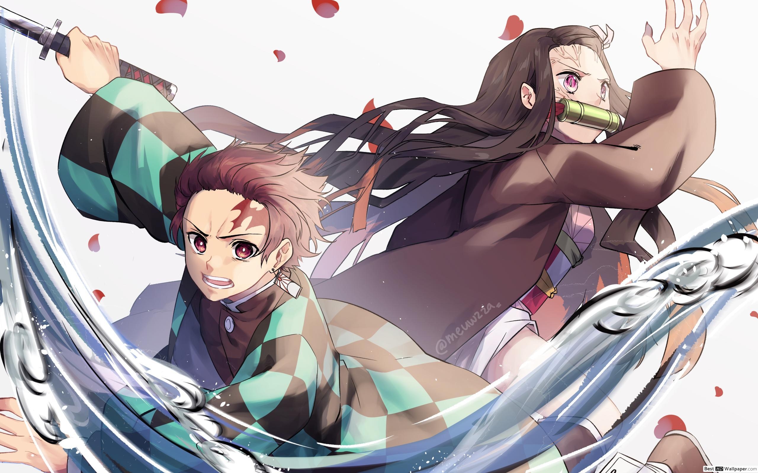 2560x1600 kimetsu No Yaiba Kamado & Nezuko Kamado HD wallpaper, Desktop