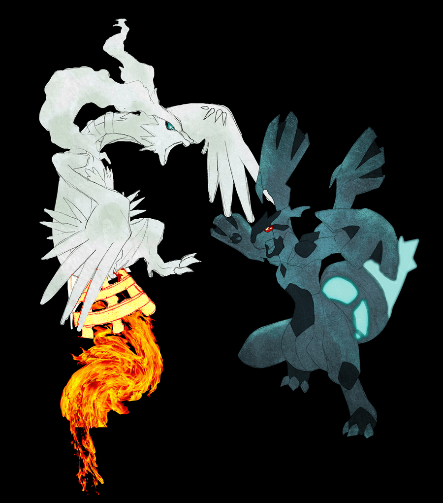 900x1030 Pokemon Black White Image Zekrom And Reshiram HD Wallpaper, Phone