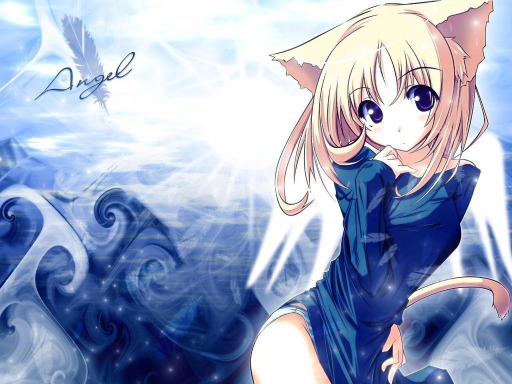 1030x770 Free Anime Cat, Download Free, Desktop