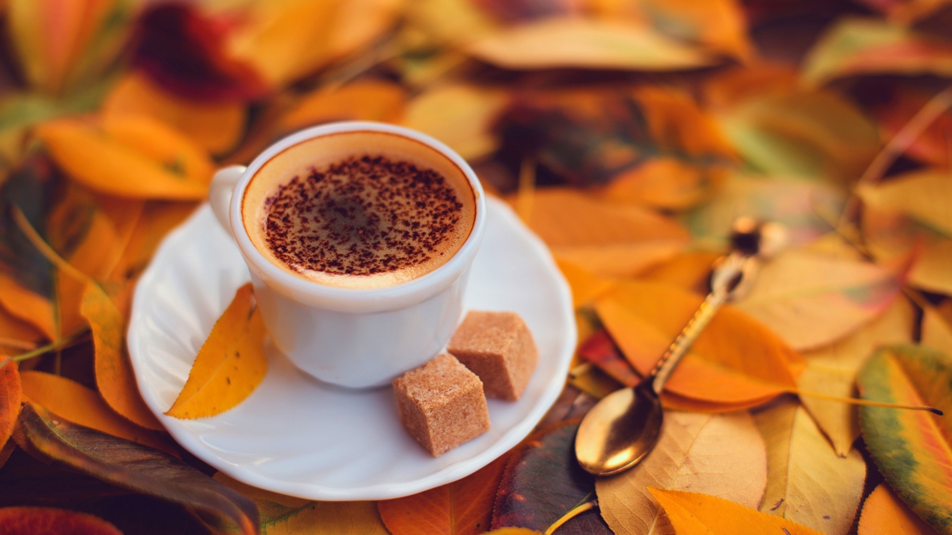 1920x1080 Download Wallpaper autumn coffee cup leaves sugar spoon, 1920x Coffee and autumn, Desktop