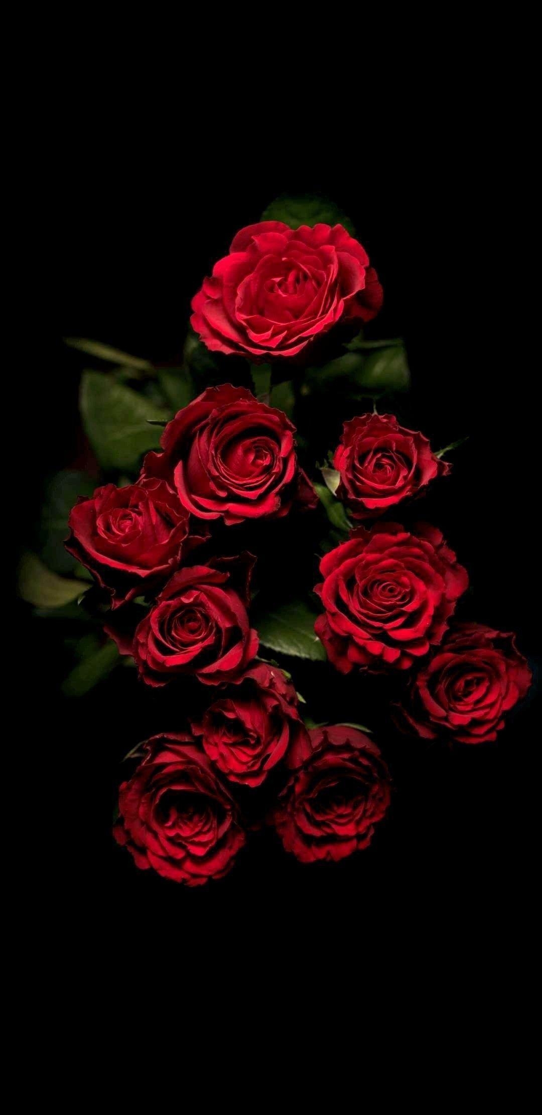 1080x2220 Dark Roses Aesthetic Wallpaper Free Dark Roses Aesthetic Background, Phone