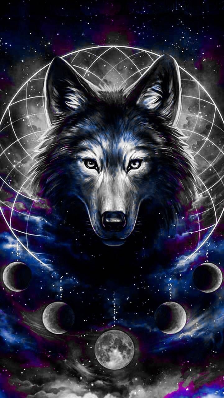 720x1280 Galaxy Wolf Wallpaper, HD Galaxy Wolf Background on WallpaperBat, Phone